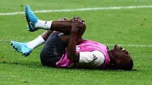 引入和本土 引入和本土